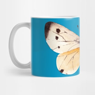 Butterfly sixth series Mug